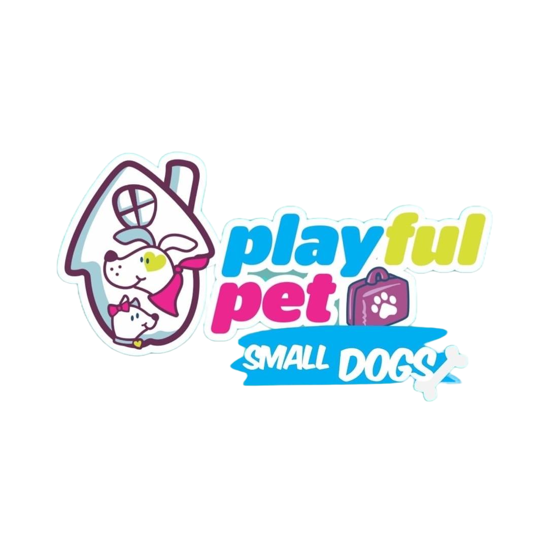 Playful Pet